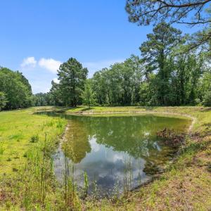 Pond on Property
