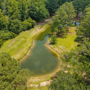 Pond View