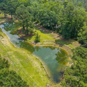 Another Pond View