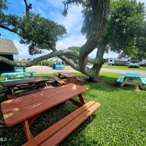 Picnic area