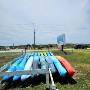 Kayak rentals