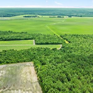 11-web-or-mls-DJI_0884