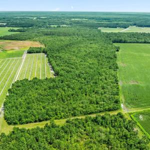 15-web-or-mls-DJI_0888