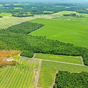 22-web-or-mls-DJI_0895