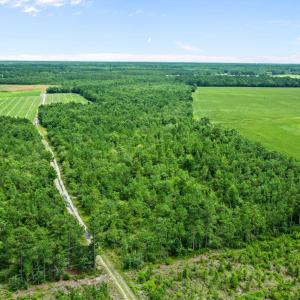 1-web-or-mls-DJI_0873