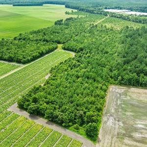 8-web-or-mls-DJI_0881