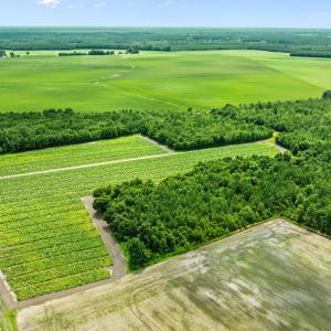 10-web-or-mls-DJI_0883