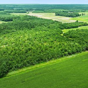 5-web-or-mls-DJI_0878