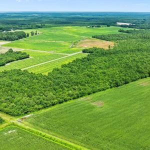 18-web-or-mls-DJI_0891