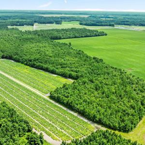 13-web-or-mls-DJI_0886