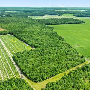 14-web-or-mls-DJI_0887