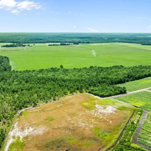 19-web-or-mls-DJI_0892