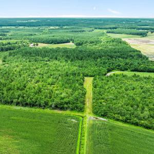 7-web-or-mls-DJI_0880