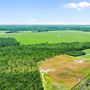 20-web-or-mls-DJI_0893