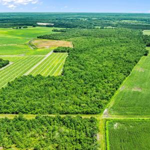 16-web-or-mls-DJI_0889