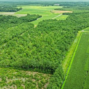 3-web-or-mls-DJI_0875