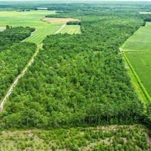 2-web-or-mls-DJI_0874