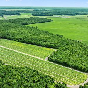 12-web-or-mls-DJI_0885