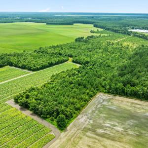 9-web-or-mls-DJI_0882