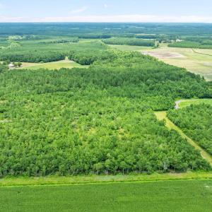 6-web-or-mls-DJI_0879