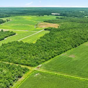 17-web-or-mls-DJI_0890