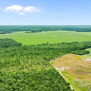 21-web-or-mls-DJI_0894