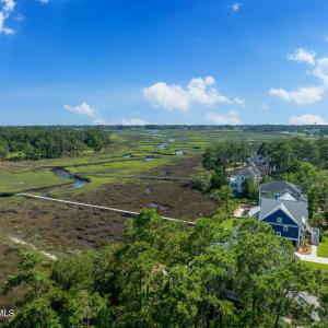 Marsh savannah in Tidal Beaver Creek