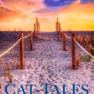 St James Cat Tales Monthly Magazine