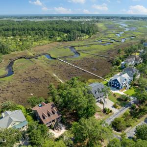 Gorgeous marsh savannah