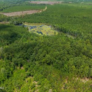 DJI_0160