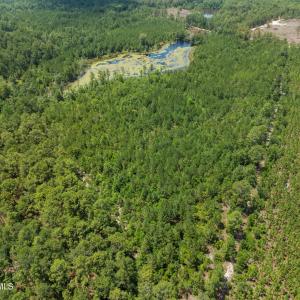 DJI_0161