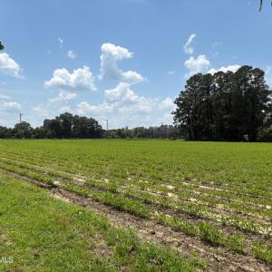 82083585-20E8-466D-9542-AA332EA69D4C