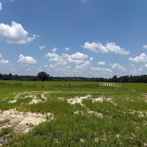 84EAF914-138A-4601-A3C1-FA9D6AF0991C