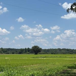 61C1776E-921C-4AD0-A030-1F9BB60F1B2E