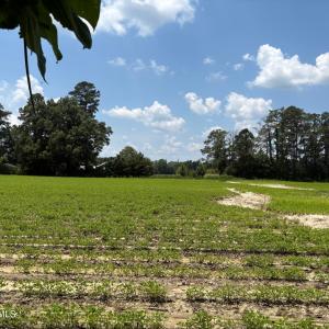 98406FB5-7D36-42CF-802A-8ED6A345A892