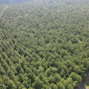 DJI_0973