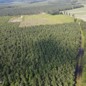 DJI_0974