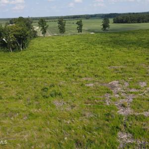 DJI_0979