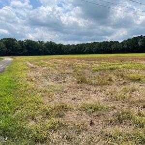 Fire Tower Road  1