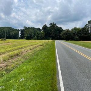 Fire Tower Road 7