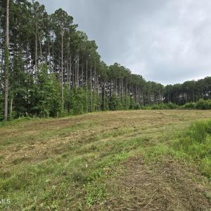 Morganshire-Lot 50