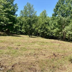 recent mowing