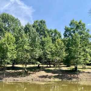 view from across the lake