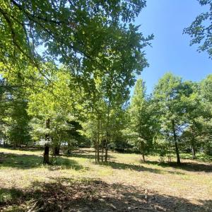 view from lower lot