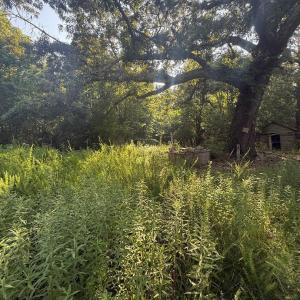 area to left of old home with well and o