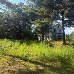 view from driveway side of cleared porti