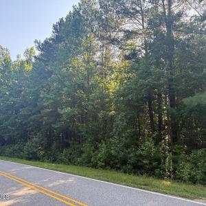 view of wooded section from road frontag