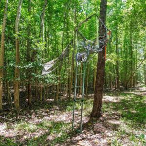 Hunting Stand