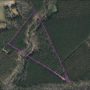 Image 7-12-25 at 12.59PM