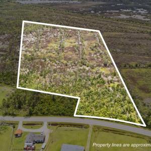 Property Lines